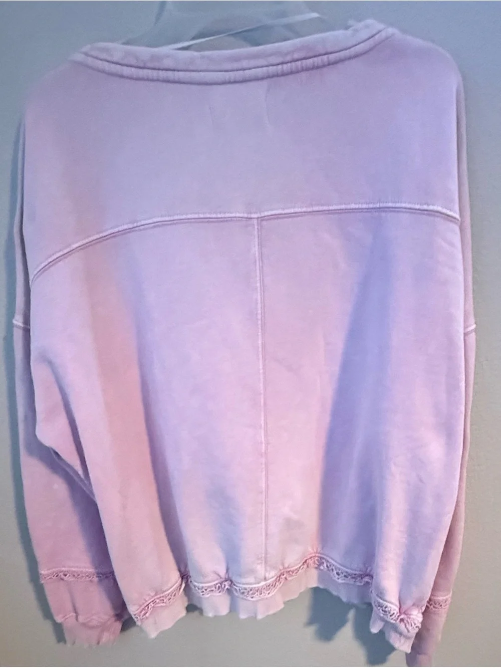 Free People Pale Pink Crewneck Sweatshirt